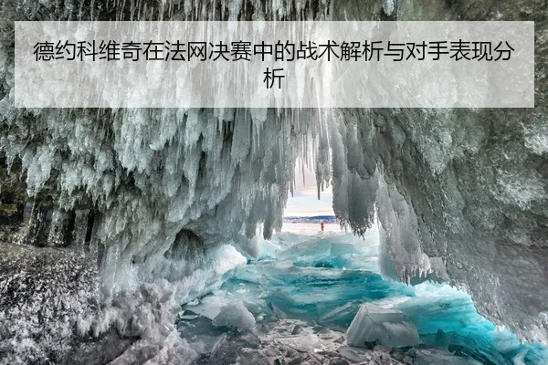 德约科维奇在法网决赛中的战术解析与对手表现分析